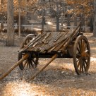The Cart